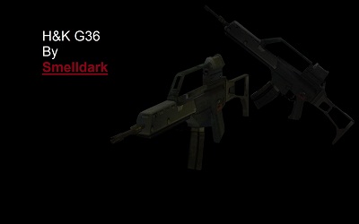 HK G36